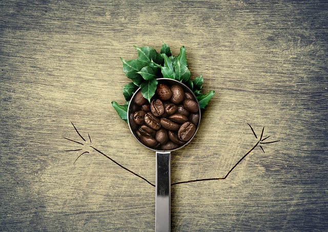 コーヒー豆の鮮度と賞味期限